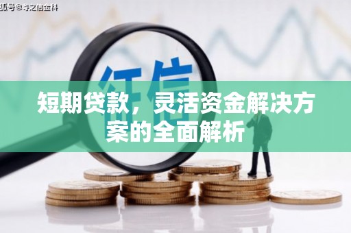 岳普湖短期贷款，灵活资金解决方案的全面解析