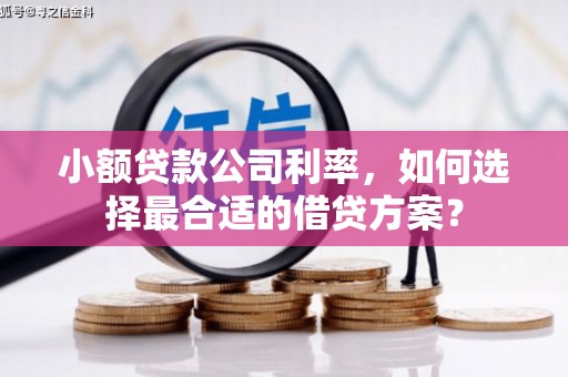 岳普湖小额贷款公司利率，如何选择最合适的借贷方案？