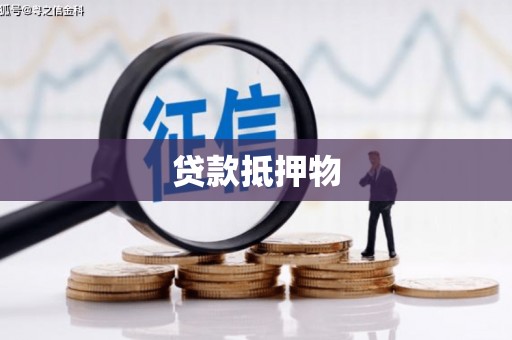 岳普湖贷款抵押物