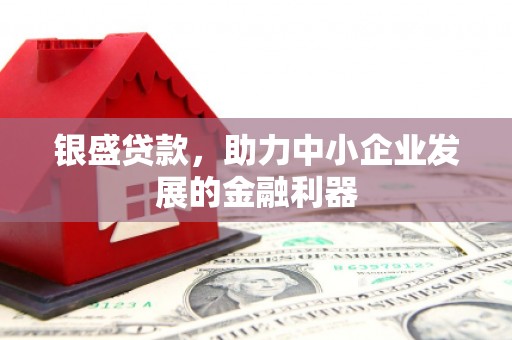 东凤银盛贷款，助力中小企业发展的金融利器