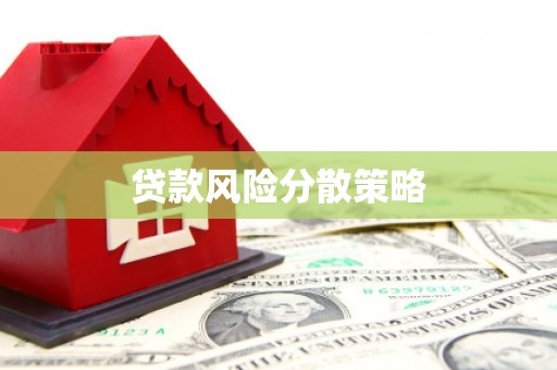 东阿贷款风险分散策略