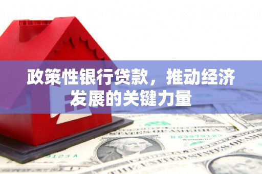 绿岛政策性银行贷款，推动经济发展的关键力量