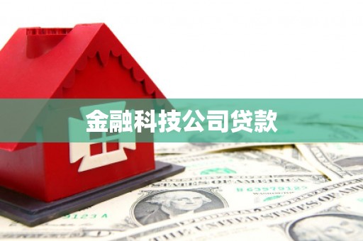 郁南金融科技公司贷款