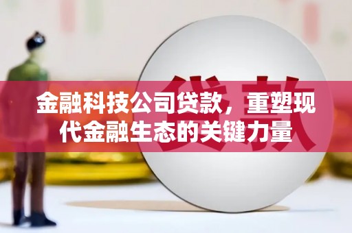 郁南金融科技公司贷款，重塑现代金融生态的关键力量