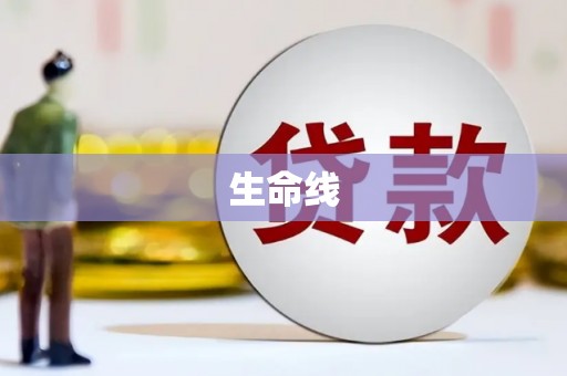 灵璧生命线