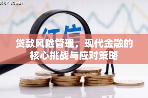 海勃湾贷款风险管理，现代金融的核心挑战与应对策略