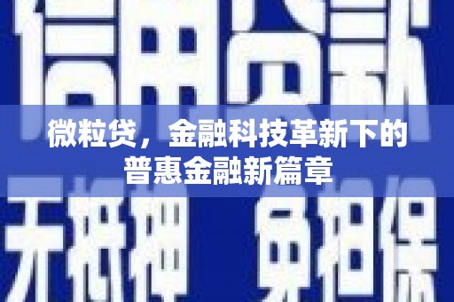 薛城微粒贷，金融科技革新下的普惠金融新篇章