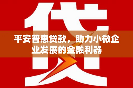玛纳斯平安普惠贷款，助力小微企业发展的金融利器