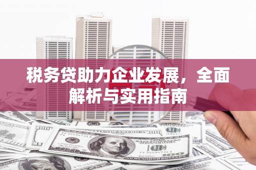 开阳税务贷助力企业发展，全面解析与实用指南