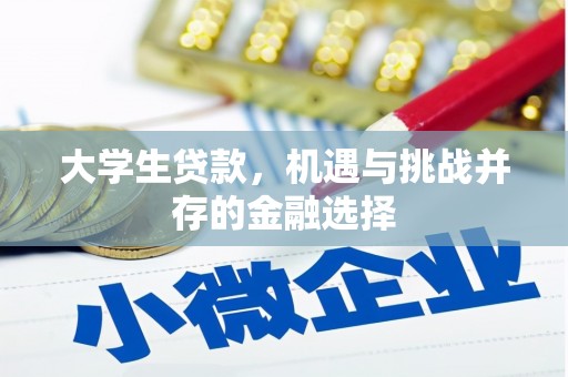 潜江大学生贷款，机遇与挑战并存的金融选择