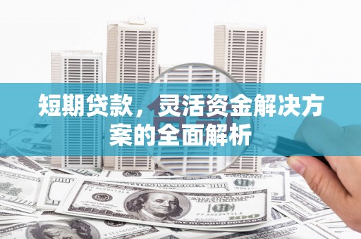 永新短期贷款，灵活资金解决方案的全面解析