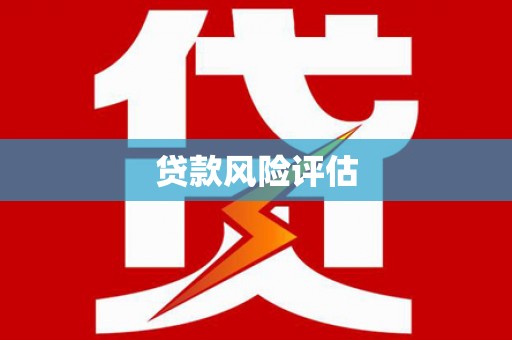 临泽贷款风险评估