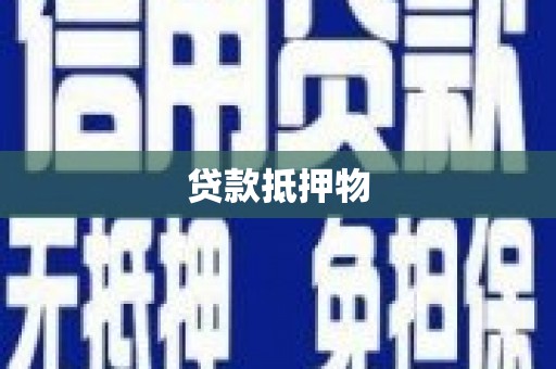 尚义贷款抵押物