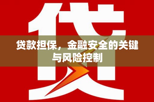 茄萣贷款担保，金融安全的关键与风险控制