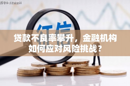 惠东贷款不良率攀升，金融机构如何应对风险挑战？