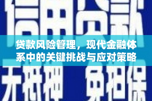 浑源贷款风险管理，现代金融体系中的关键挑战与应对策略