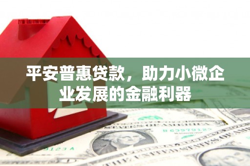 浑源平安普惠贷款，助力小微企业发展的金融利器