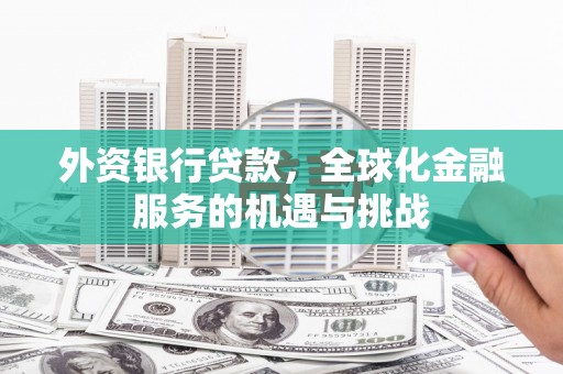 泌阳外资银行贷款，全球化金融服务的机遇与挑战