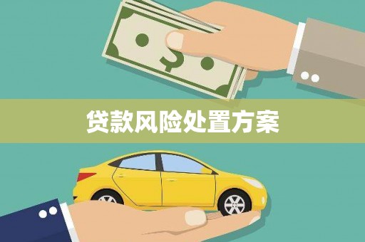 扬州贷款风险处置方案