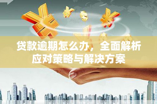 永新贷款逾期怎么办，全面解析应对策略与解决方案