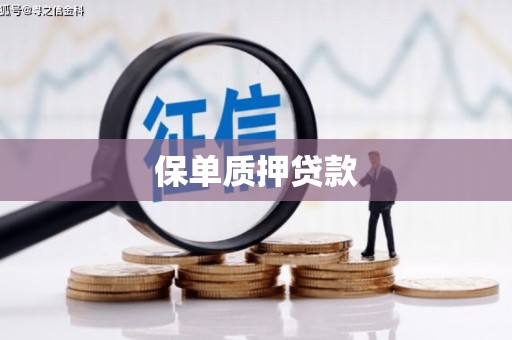 清镇保单质押贷款