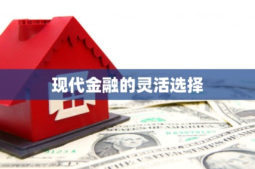 雄安新区现代金融的灵活选择