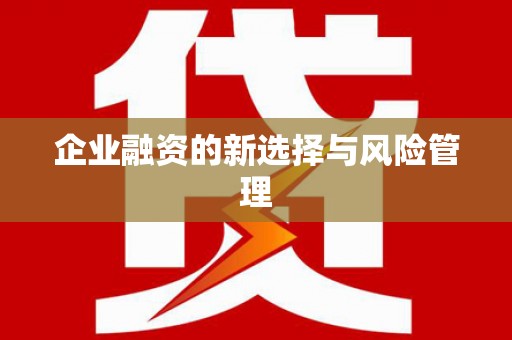 容县企业融资的新选择与风险管理