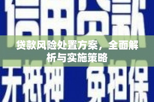 稻城贷款风险处置方案，全面解析与实施策略