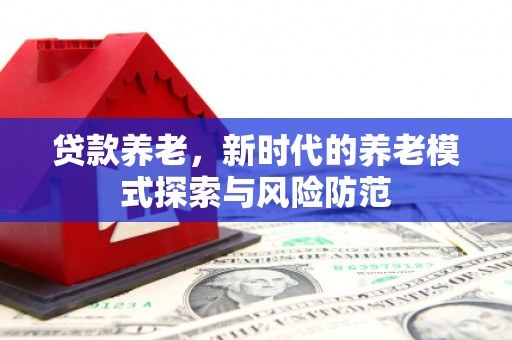 稻城贷款养老，新时代的养老模式探索与风险防范
