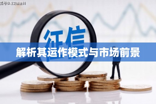 翁源解析其运作模式与市场前景