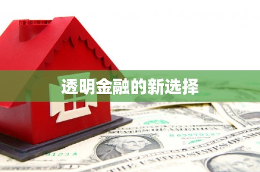 保康透明金融的新选择