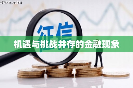 防城机遇与挑战并存的金融现象